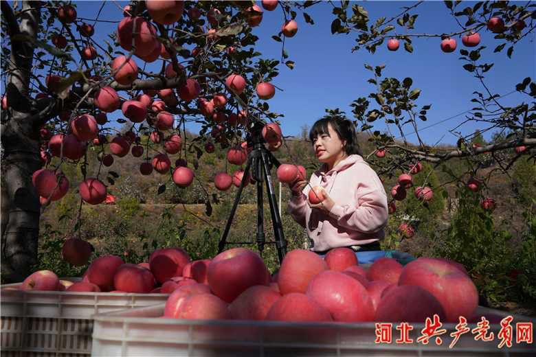 微信图片_20201110154415.jpg