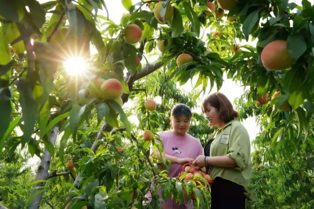 微信图片_20210609114548.jpg