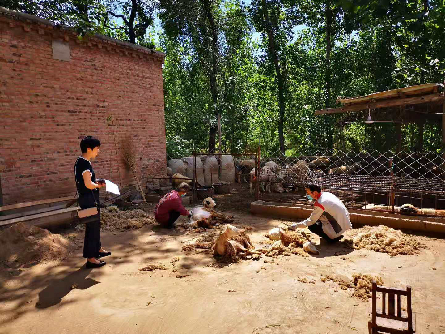 访万家照片4.jpg