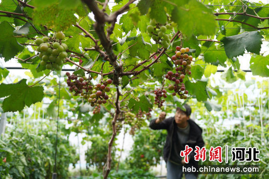 U1082P18T5D435495F86DT20230531170342 .jpg