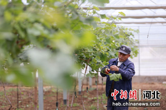 U1082P18DT20230531170218 .jpg