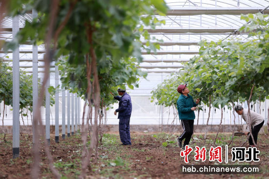 U1082P18DT20230531170235 .jpg