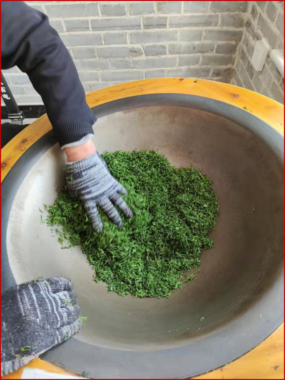 手工制作酸枣叶茶.png