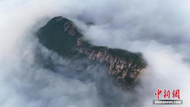 c75c10385343fbf.webp