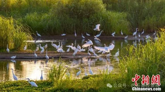 1111111.webp