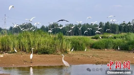 22222222.webp